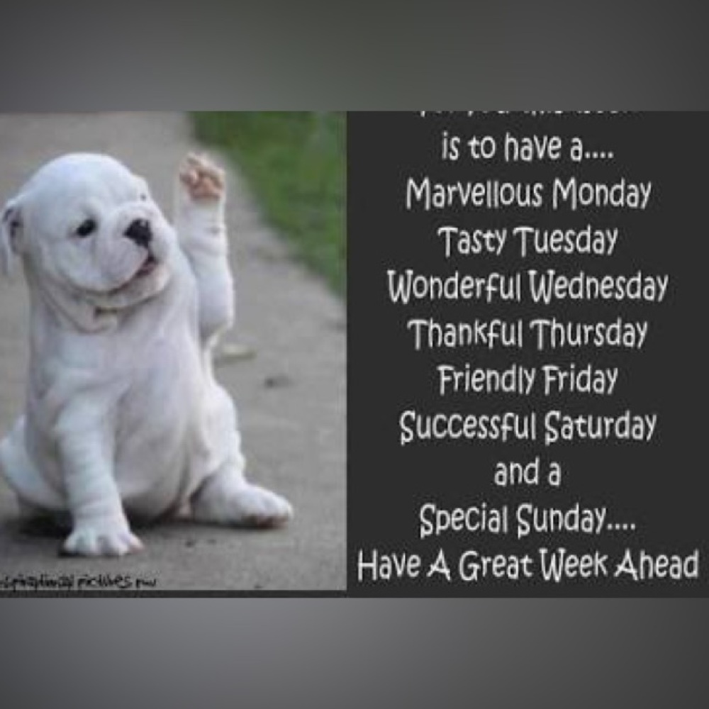 Wishing everyone a phenomenal month of huge sales & fun
